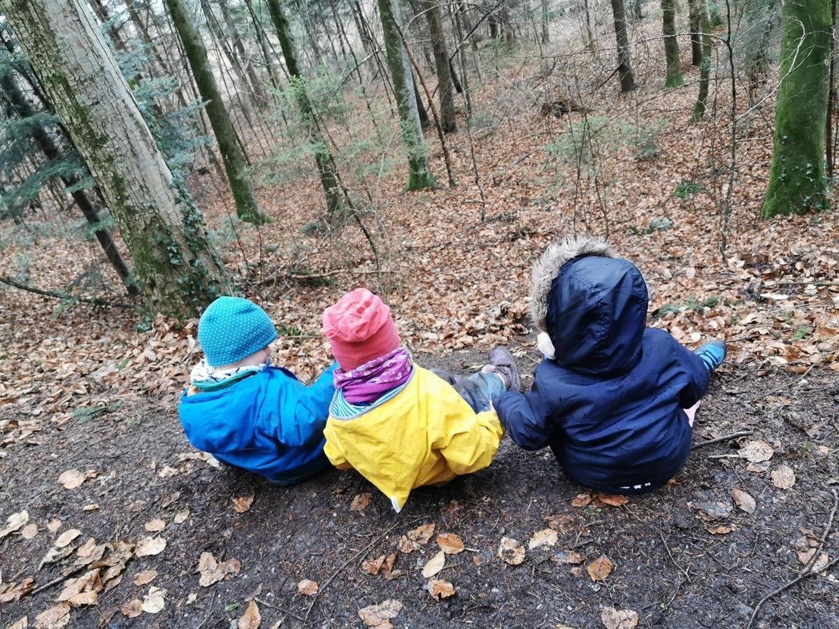 Bild 2: Wald- Spielgruppe Rägeboge, frühkindliche Bildung in Gwatt (nahe Thunersee)