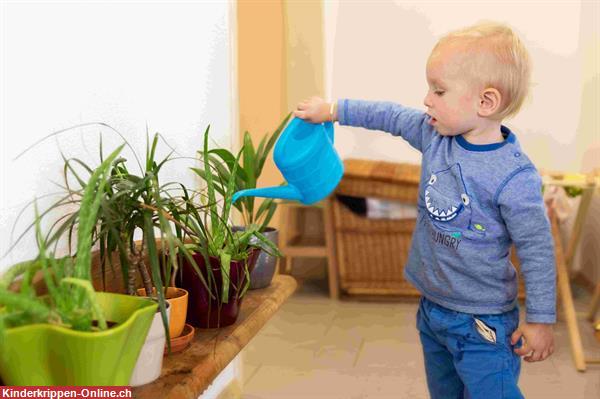 Montessori Kita, Baby, Kleinkinder Betreuung Muttenz BL