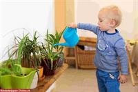 Montessori Kita, Baby, Kleinkinder Betreuung Muttenz BL