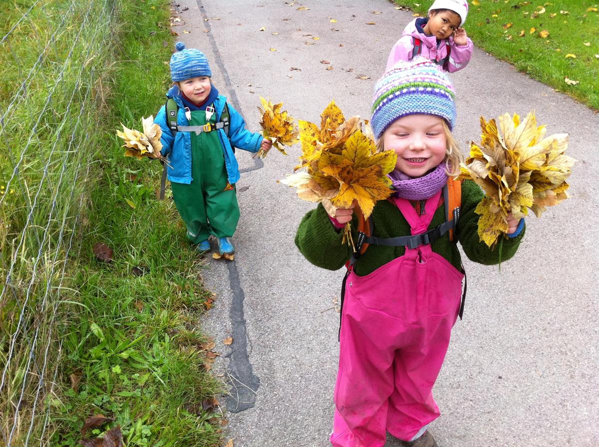 Bild 2: Troll Waldkinder AG, Krippen- und Kindergartenzeit im Wald in der Stadt Zürich