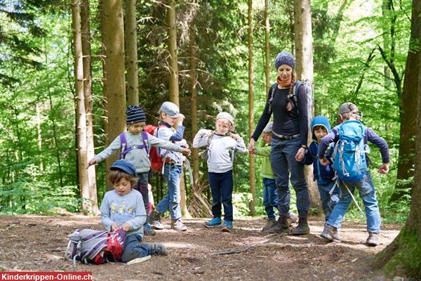 Bild 3: Troll Waldkinder AG, Krippen- und Kindergartenzeit im Wald in der Stadt Zürich