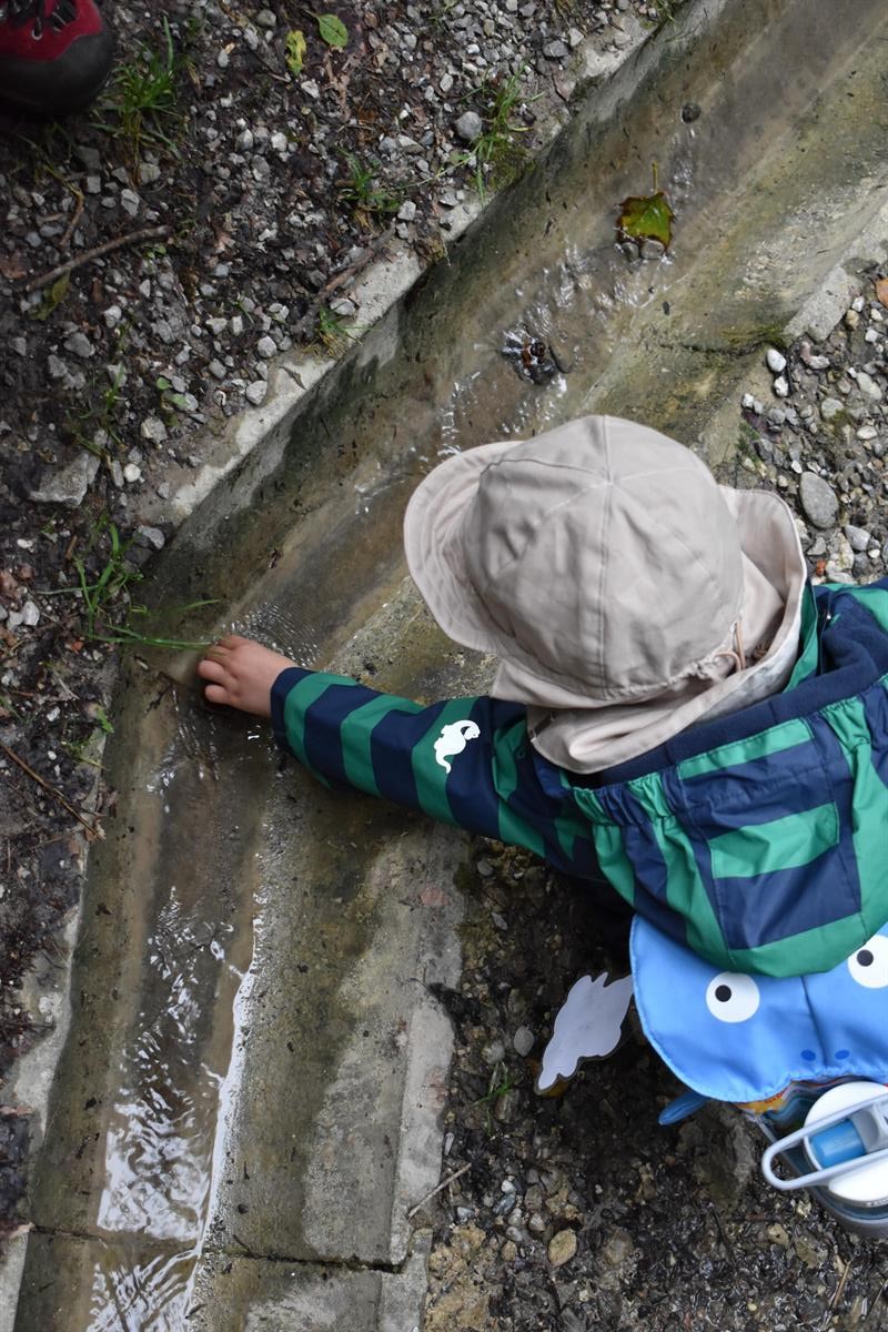 Bild 4: Wald- Spielgruppe Rägeboge, frühkindliche Bildung in Gwatt (nahe Thunersee)