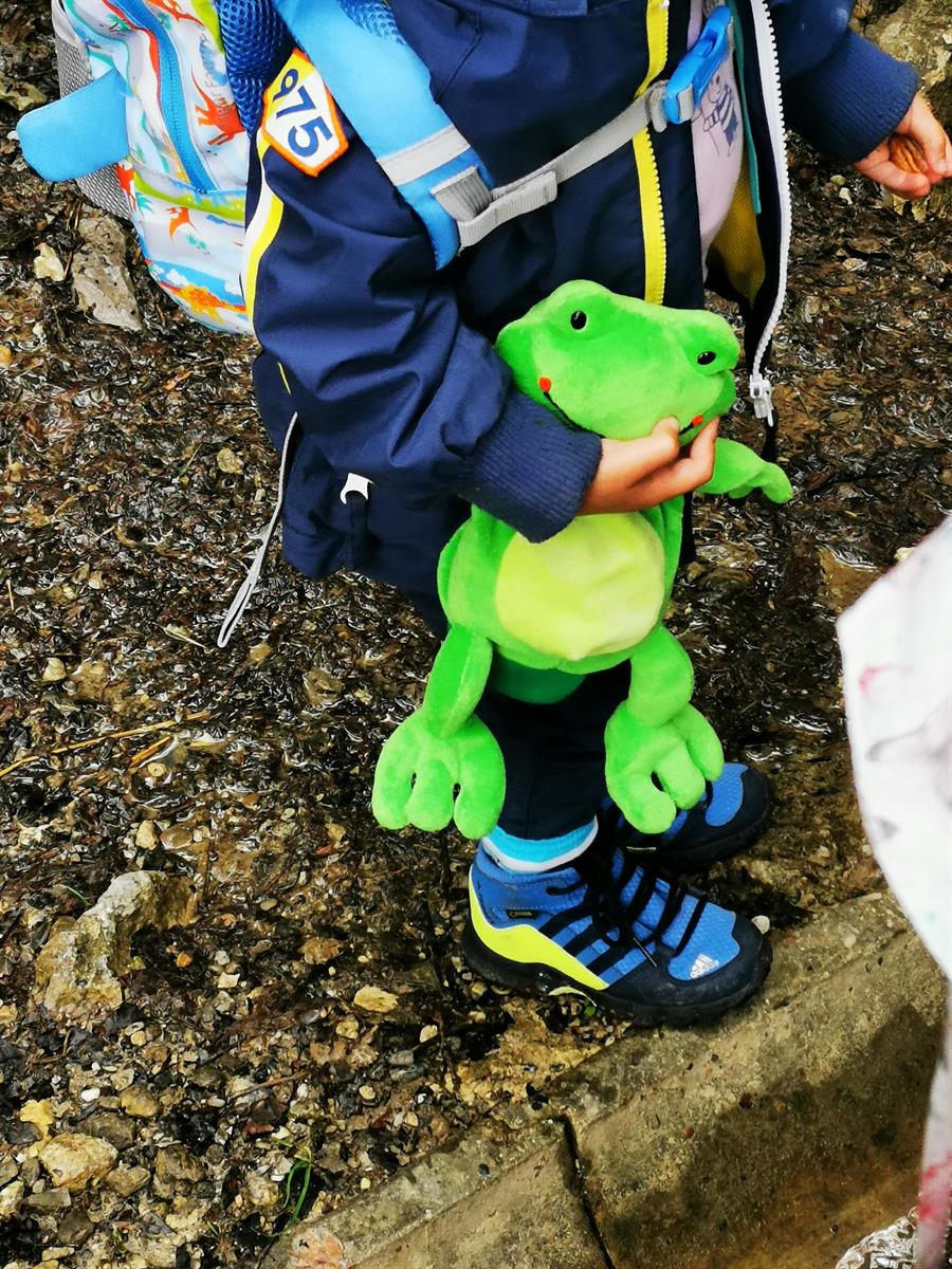 Bild 6: Wald- Spielgruppe Rägeboge, frühkindliche Bildung in Gwatt (nahe Thunersee)