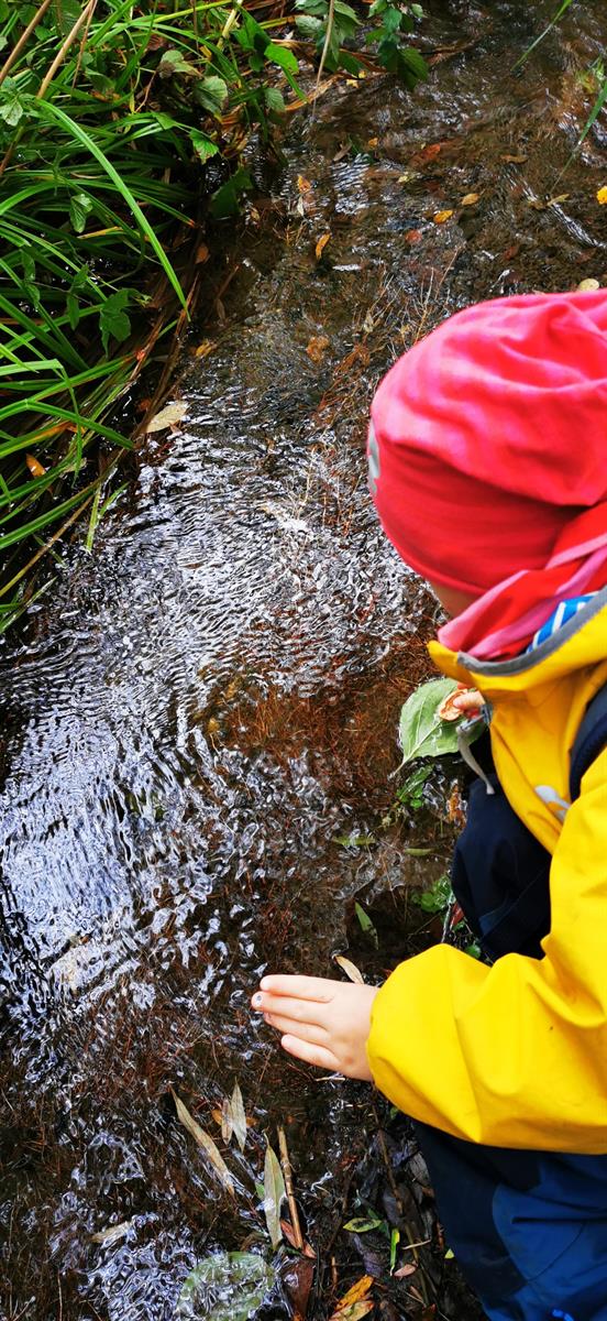 Bild 7: Wald- Spielgruppe Rägeboge, frühkindliche Bildung in Gwatt (nahe Thunersee)