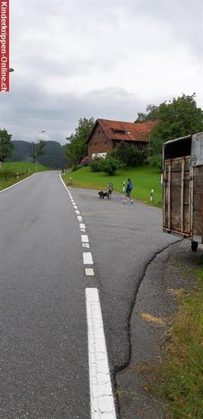 Bild 11: Waldspielgruppe Wölfli | 9427 Wolfhalden