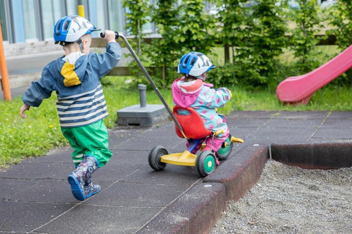Bild 8: kiana Kita, Kinderbetreuung nahe Bauernhof, Ponyhof, Wald