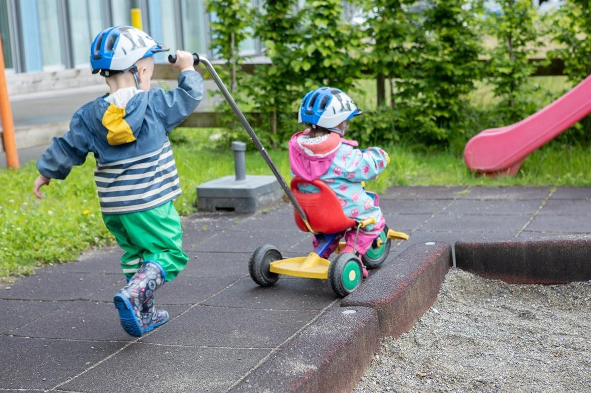 Bild 8: kiana krippen, Kinderbetreuung nahe Bauernhof, Ponyhof, Wald