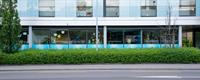 Little Star Day School Zug, Preschool zwischen Baar und Stadt Zug
