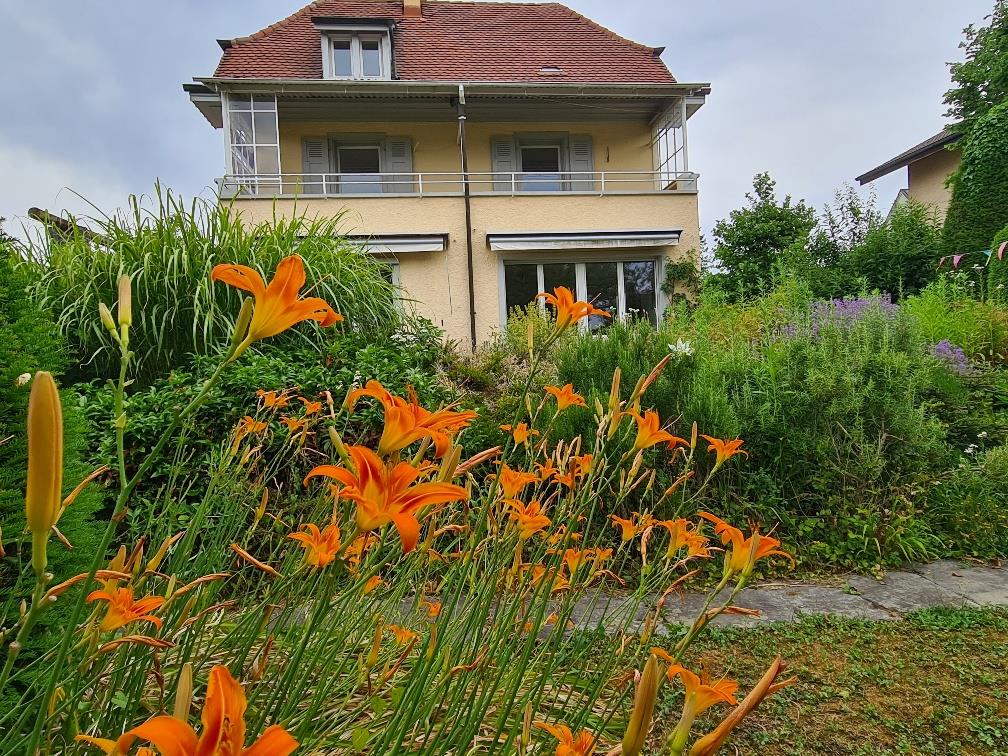 Bild 2: Kibu Kinderburg Kindertagesstätte in Münchenstein Basel