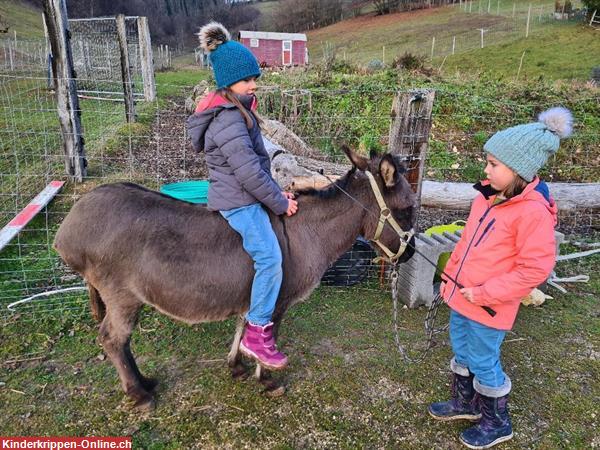 Bild 6: Kibu Kinderburg Kindertagesstätte in Münchenstein Basel