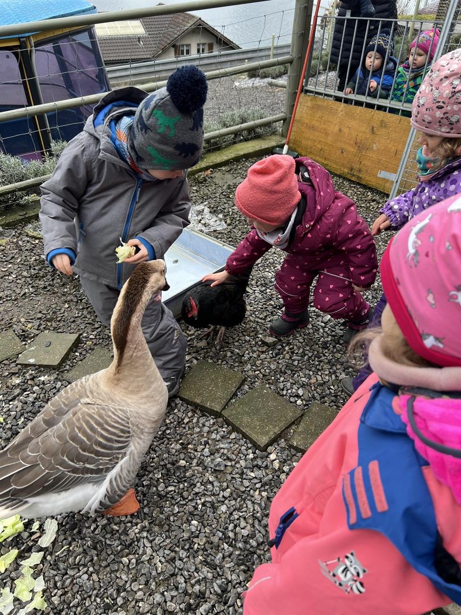 Kinderstube Mattenhof, Kinderbetreuung Beckenried Nidwalden