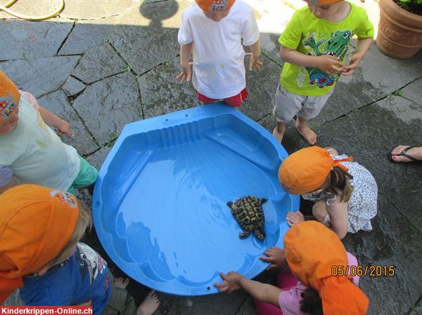 Bild 5: Kinderhaus Ringelrosen, Kinderbetreuung Zürich Wipkingen / nahe Escher-Wyss-Platz