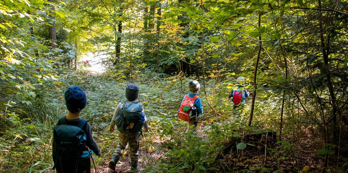 Bild 3: Kita Waldmuus, Kinderbetreuung Rüschlikon, Bezirk Horgen