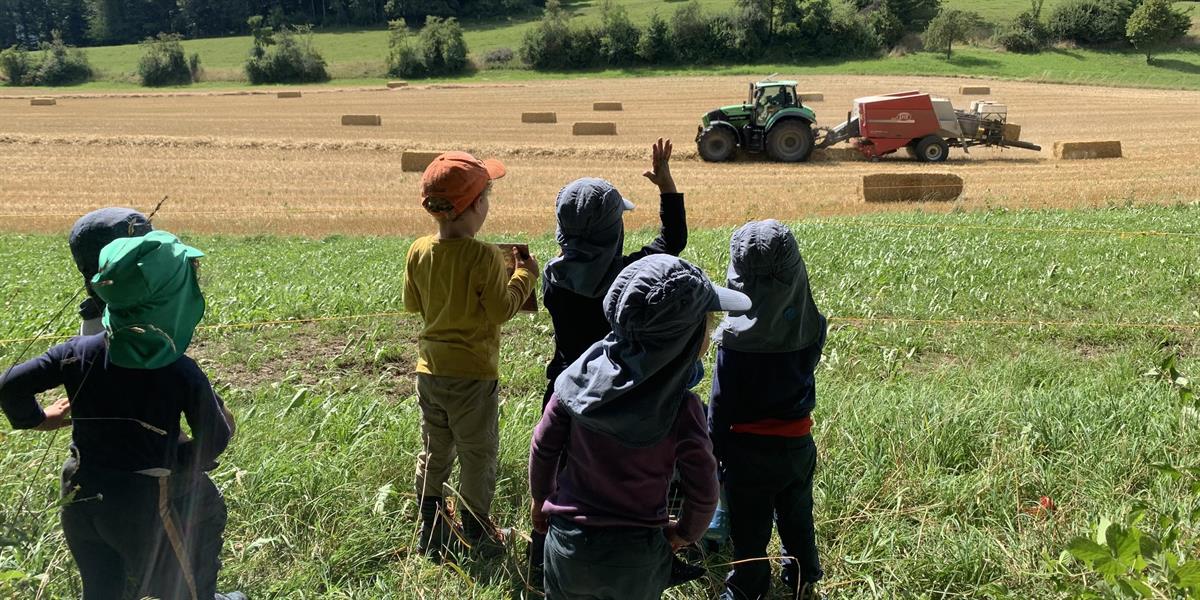 Bild 6: Kita Waldmuus, Kinderbetreuung Rüschlikon, Bezirk Horgen