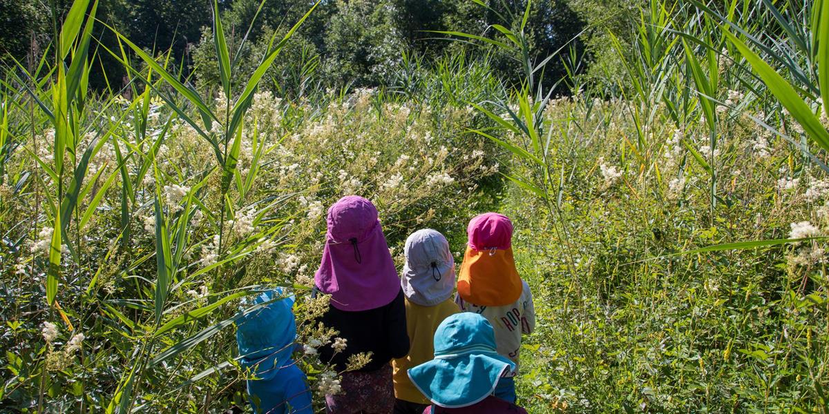 Bild 8: Kita Waldmuus, Kinderbetreuung Rüschlikon, Bezirk Horgen