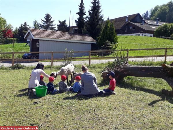 Bild 10: Kinderhaus LOKI GmbH, Ganztages- und Teilzeitbetreuung für Kinder in Dietikon