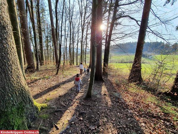 Bild 7: Kinderhaus LOKI GmbH, Ganztages- und Teilzeitbetreuung für Kinder in Dietikon