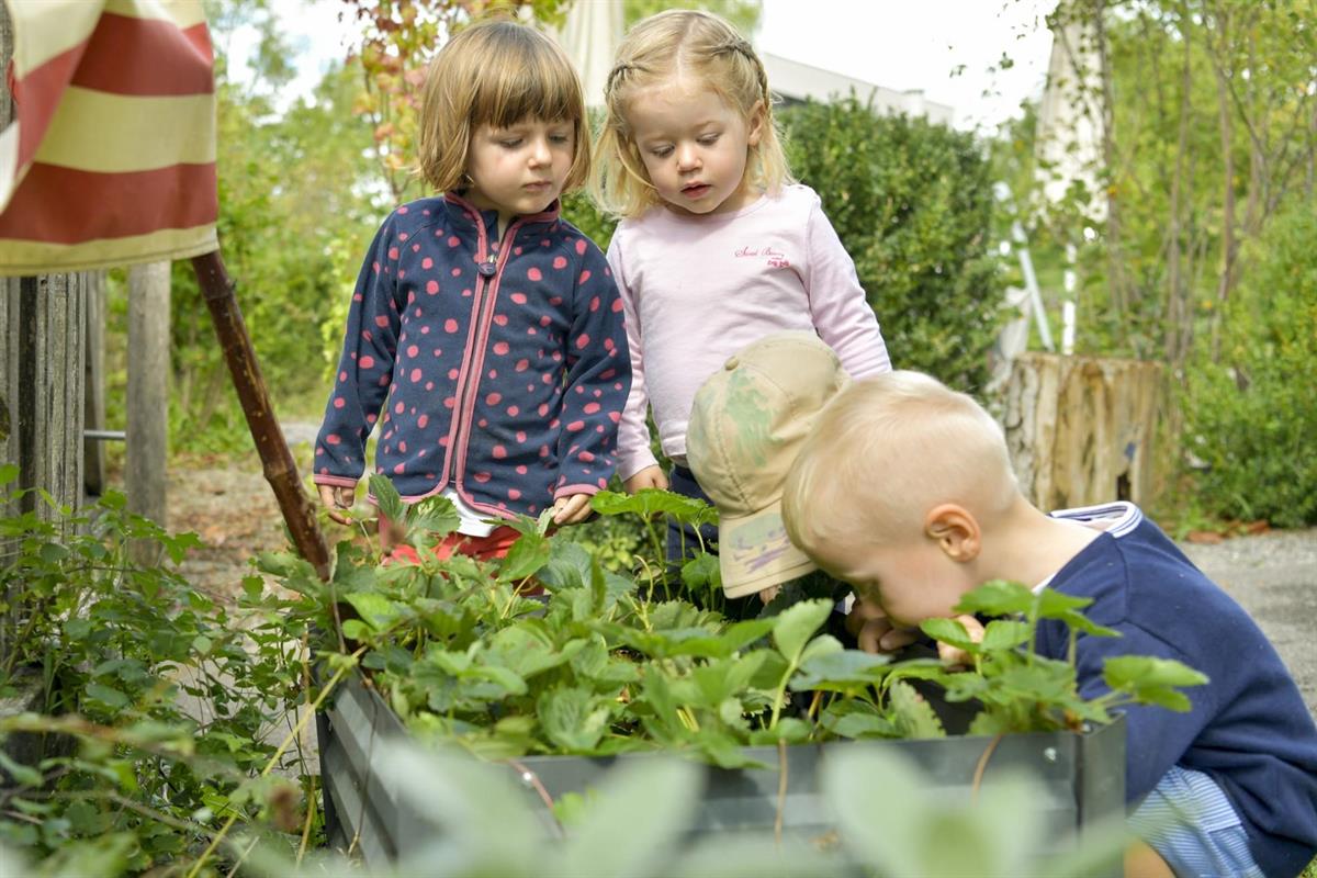 Bild 2: KiBiZ Kita Frauensteinmatt, Kinderbetreuung nahe Zentrum Zug und Zugersee