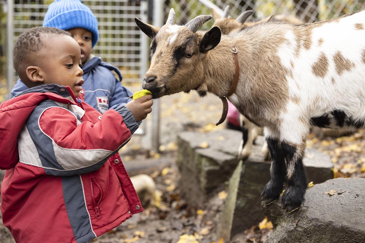 Bild 3: Kita Waldi, Kinderbetreuung Stadt Bern