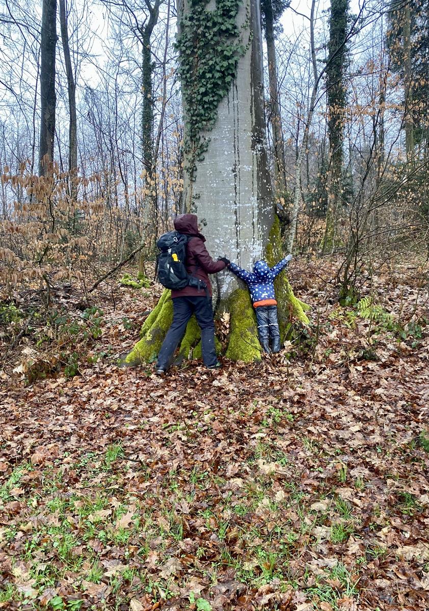 Bild 8: Waldspielgruppe in Oberhasli (Gemeinde Niederhasli)