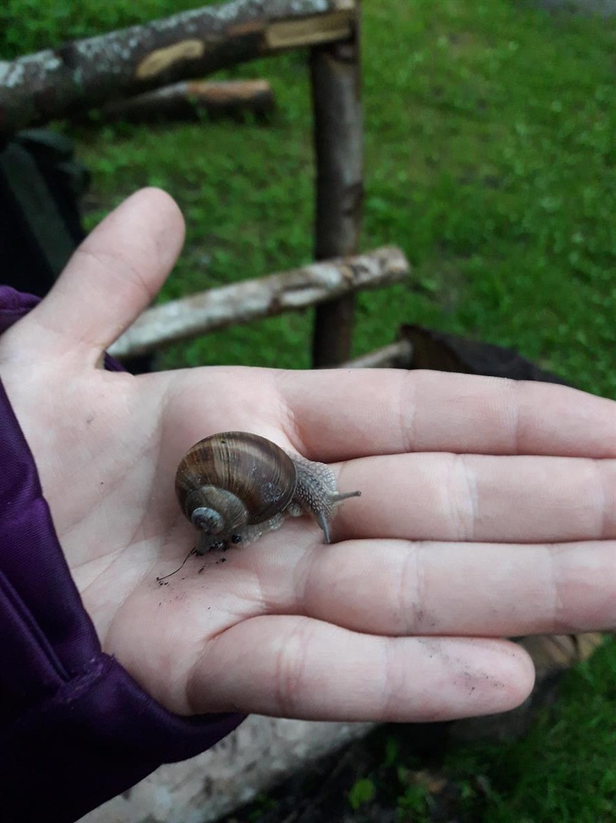 Bild 3: NaturKita, Kinderbetreuung mit Naturerlebnisse Adliswil