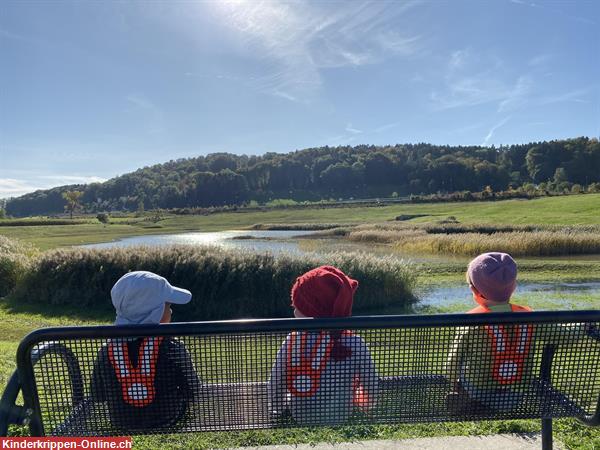 Kinderzentrum Kinderbetreuung, Kindertagesstätte in Wettswil am Albis
