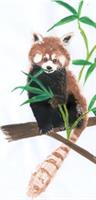 Kinder-Tagesbetreuung PANDA, Schaffhausen