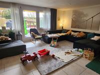 Nidino AG, Oberengstringen