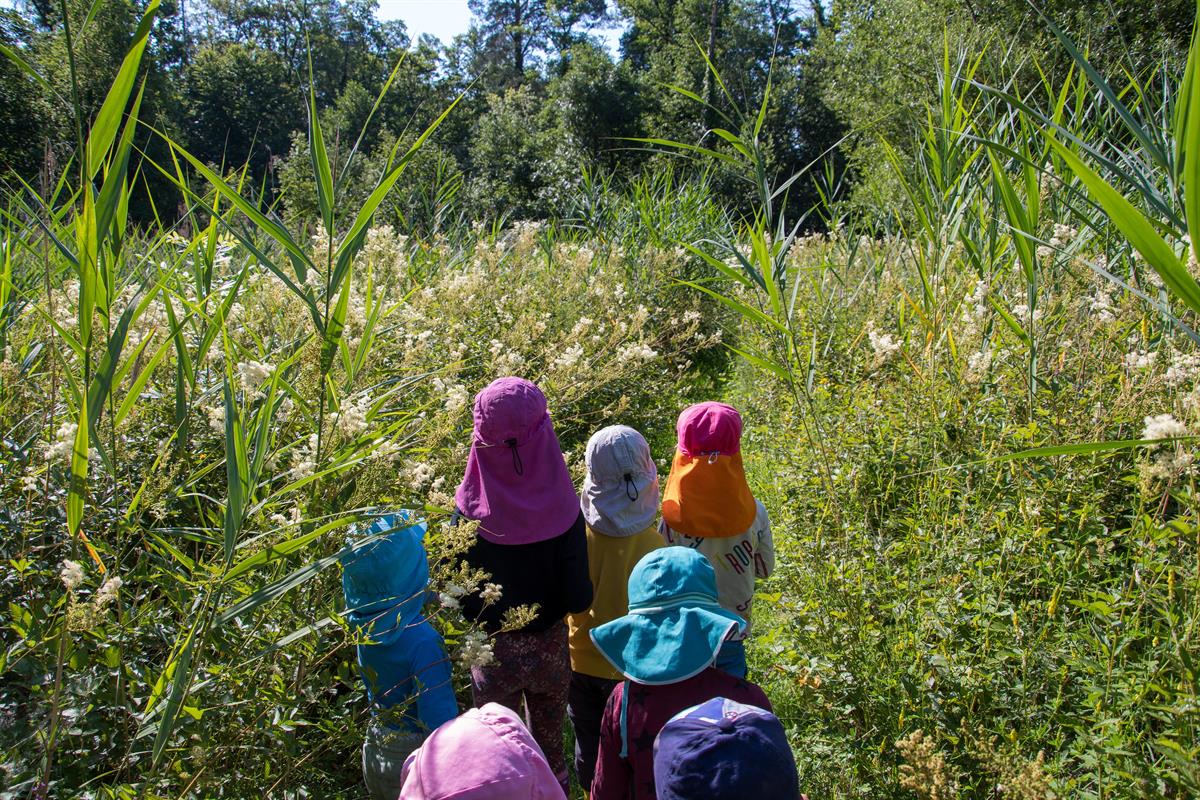 Bild 3: FaBe Kinder Lehrstelle in Wald-Kita, Rüschlikon ZH