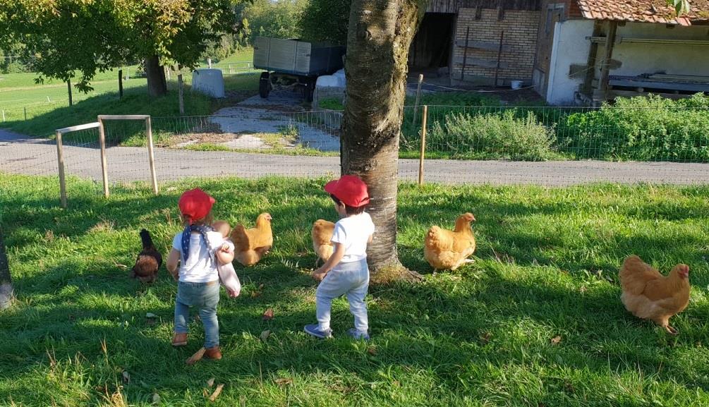 Bild 5: FaBe Kind Stelle als Co-Gruppenleitung in Dietikon ZH, 80-100%