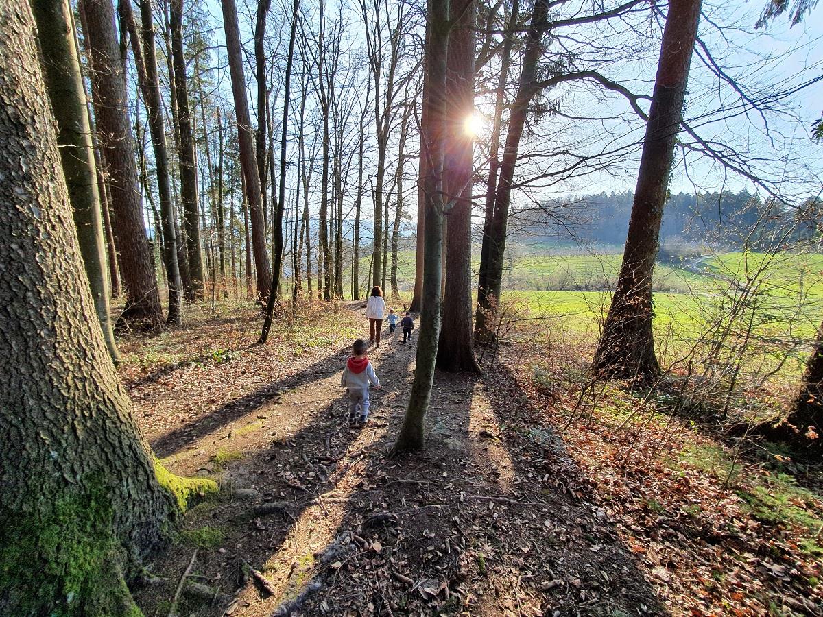 Bild 6: FaBe Kind Stelle als Co-Gruppenleitung in Dietikon ZH, 80-100%