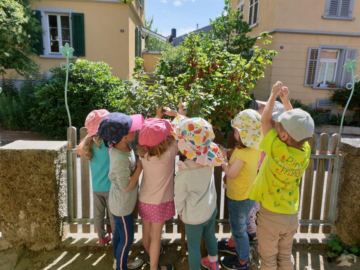 Bild 2: Praktikum Kinderbetreuung in Schaffhausen, 60-100%