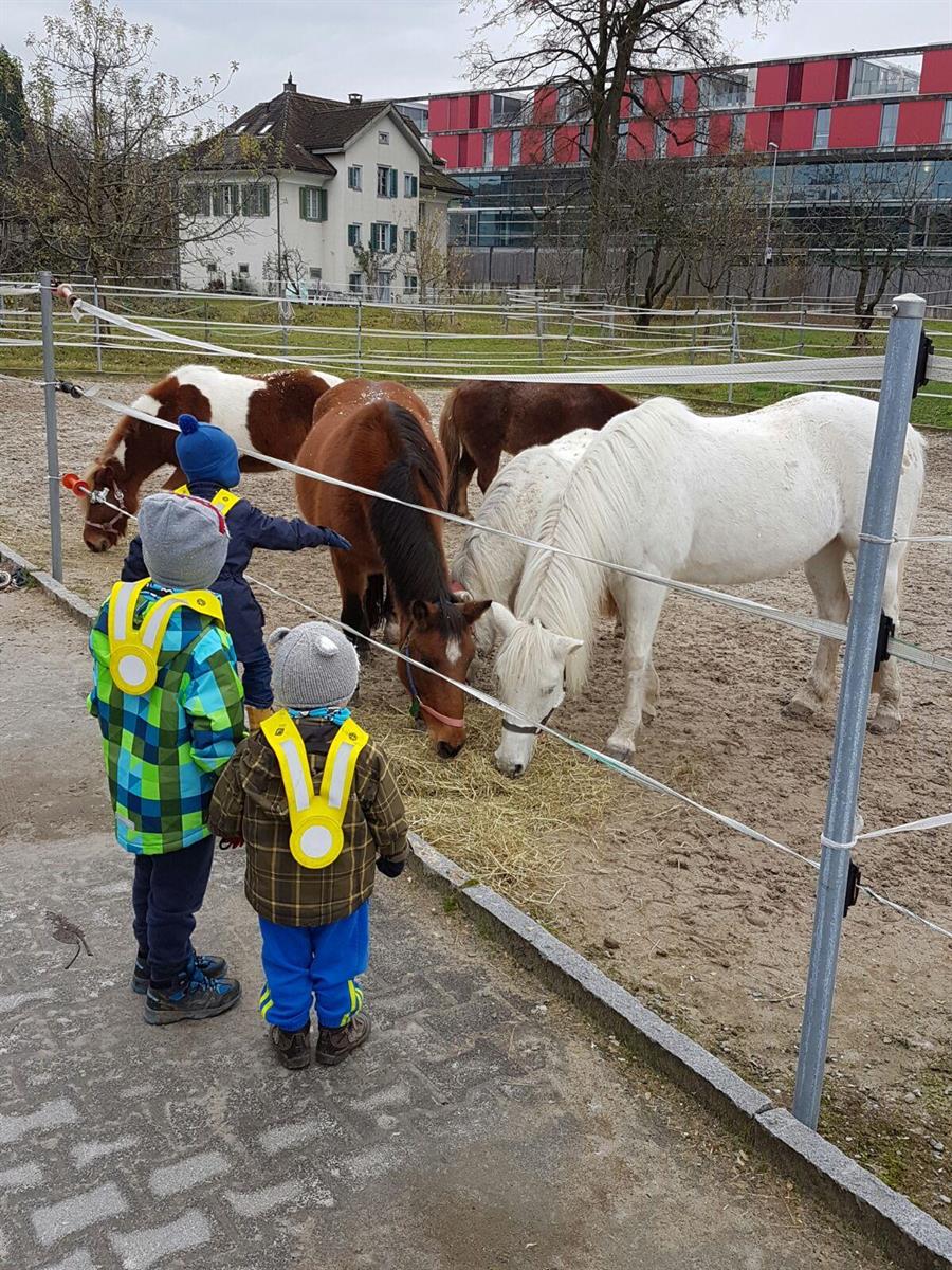 FaBe Kinderbetreuung auf Bauernhof-Kita in Baar ZG, 60-100%