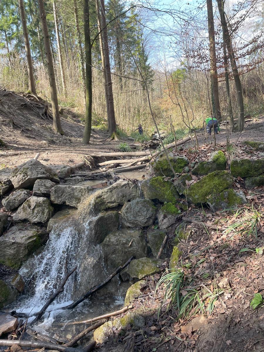 Bild 7: Temporärstelle als Kitaleitung in Zürich Altstetten, 20%