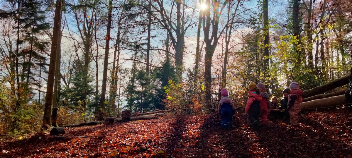 Bild 4: ErzieherIn / MiterzieherIn, Aushilfe, SpringerIn, Fachperson Betreuung / FaBeK, 60-80% nach Vereinbarung, Zürich