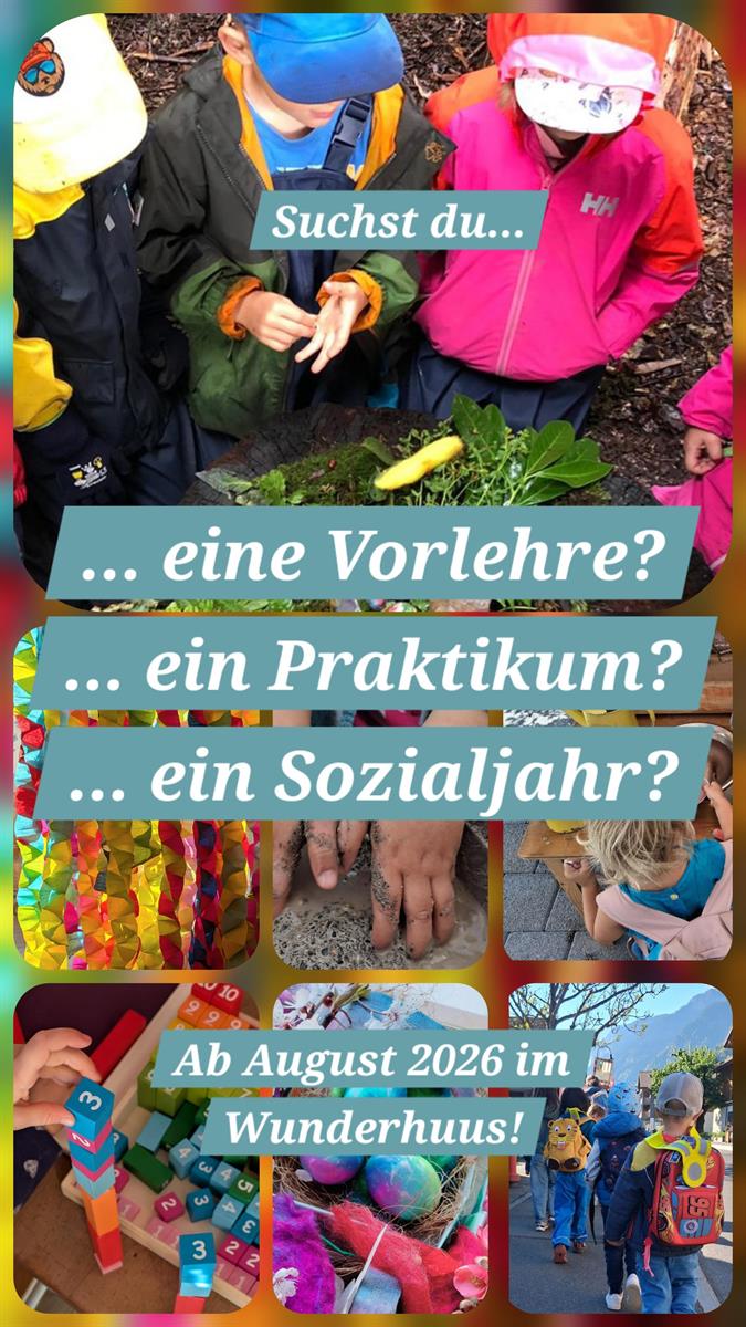 Kita Praktikum, Vorlehre oder Sozialjahr, Wilderswil Bern
